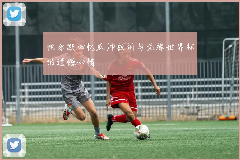 帕尔默回忆瓜帅教训与无缘世界杯的遗憾心情