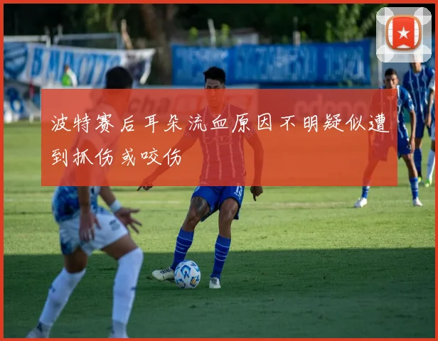 波特赛后耳朵流血原因不明疑似遭到抓伤或咬伤